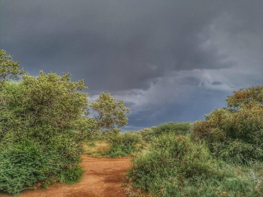 Hackberry House Black Thorn Cottage, Off Grid Khemsbok 外观 照片